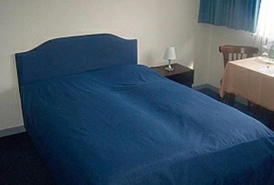 Hotel Am Ufer ترير الغرفة الصورة